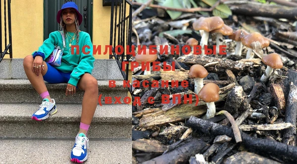 МДПВ Каменск-Шахтинский