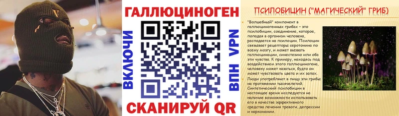 Псилоцибиновые грибы Cubensis  Купить  Великий Устюг 